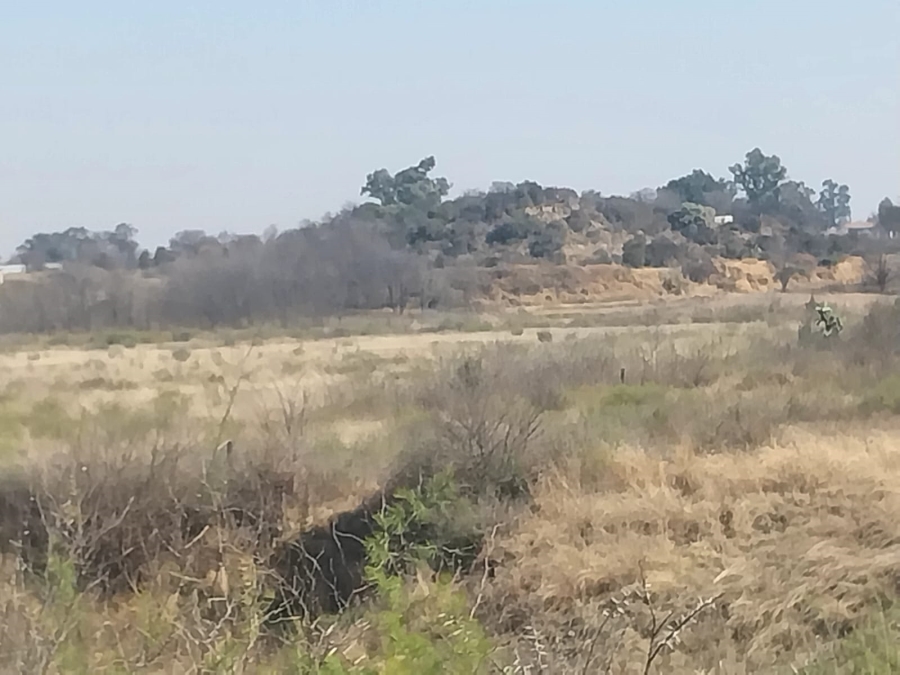 0 Bedroom Property for Sale in Koppies Free State